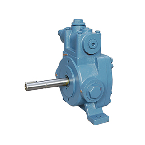 Rotary Gear Pump in Delhi